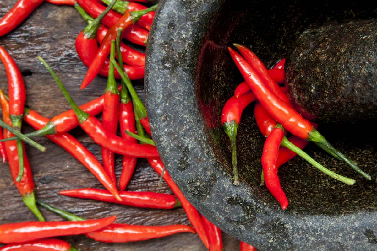 Red Thai chillies are the main ingredient in sriracha sauce